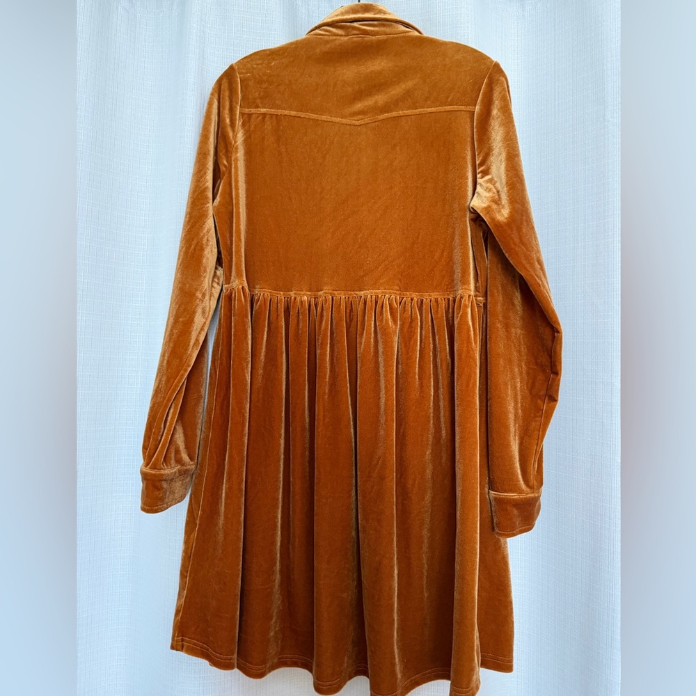 Pinkblush Velvet Long Sleeve Dress - Picture 6 of 8